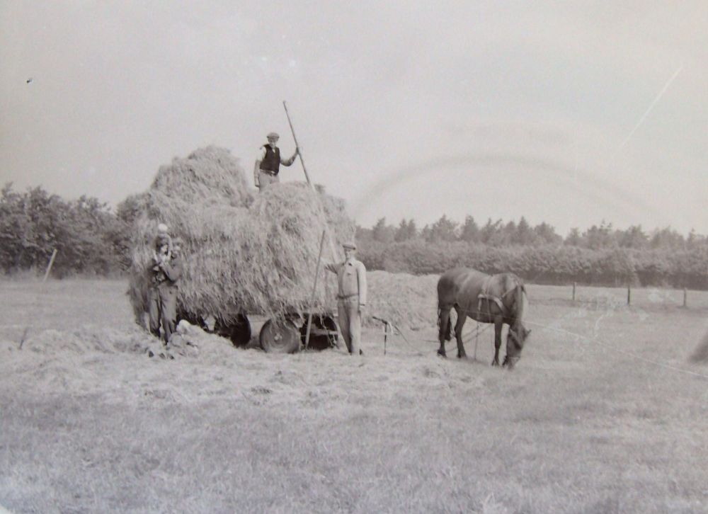 Bosma Eldert hessel bok en Bowe Sikkes.jpg