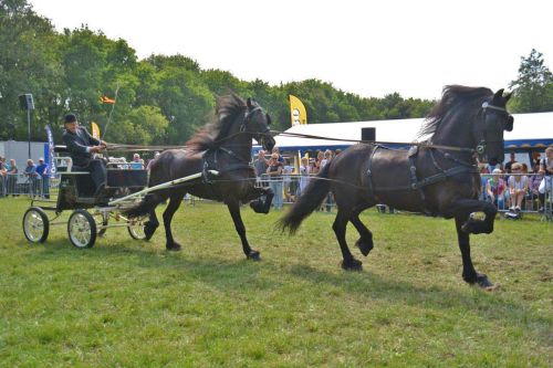 Tuigmiddag de oorsprong 2018 2