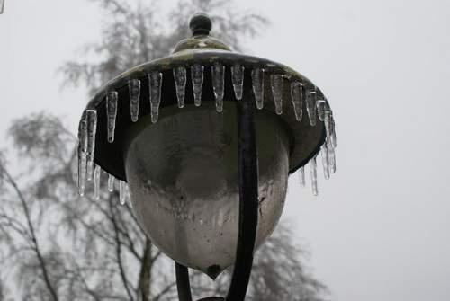 160106WinterHiltjeSikkema