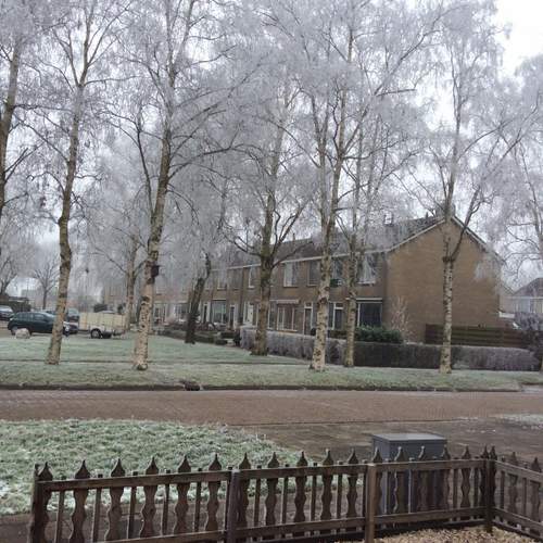 170118 Winterfoto Griet de Groot