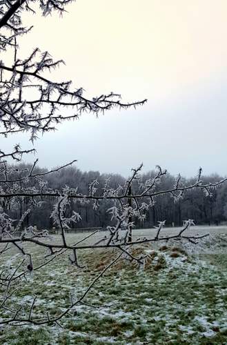 170118 Winterfoto Joke Zijlstra