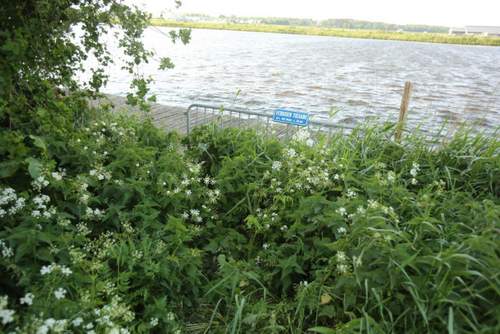 180531 Zwemmersplek Doniaga jachthaven vissteiger invaliden