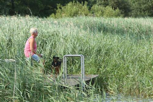 180727 Camping Leenstra Teroele riet