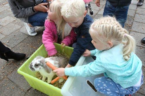 dierendag klimmerbled 2018 32