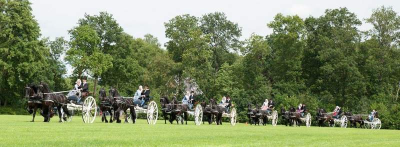 190604 Mechteld en Jelle van der kooi quadrille