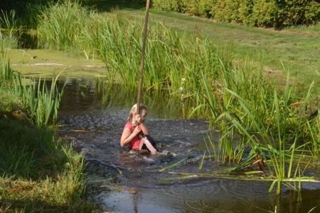 190831 Survival Ouwstertrijegeaen