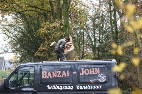 boomkunsternaar nov 2019 2
