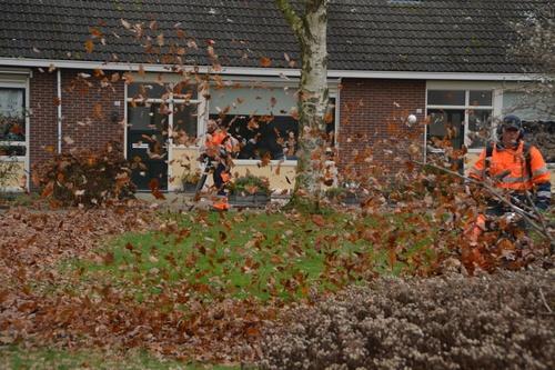 Bladeren verwijderen 2