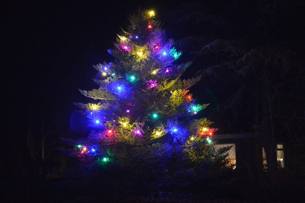 kerstverlichting 4
