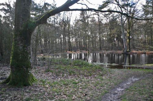 wateroverlast febr 2020 10