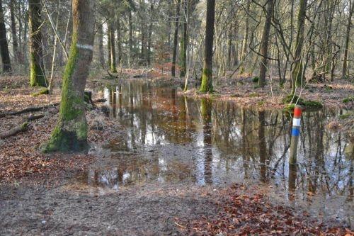 wateroverlast febr 2020 12