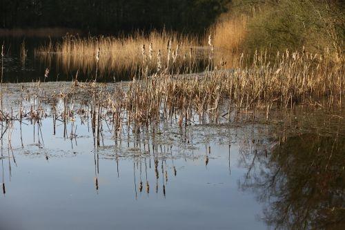 wateroverlast febr 2020 23