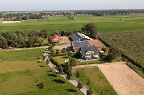 BOERWILLE