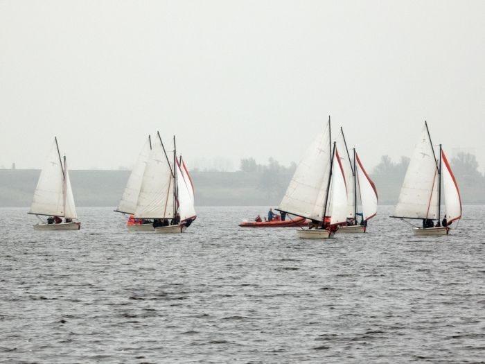 goldrace langwar 2021 11