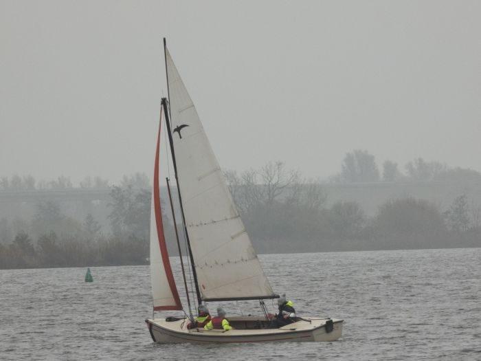 goldrace langwar 2021 15
