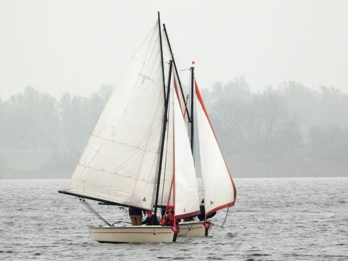 goldrace langwar 2021 4