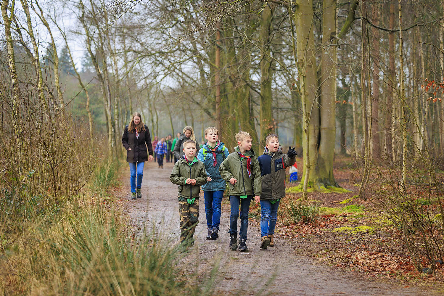 250223 SintNyk BadenPowell wandeltocht 97A8660 JeroenSchaaphokFotografie