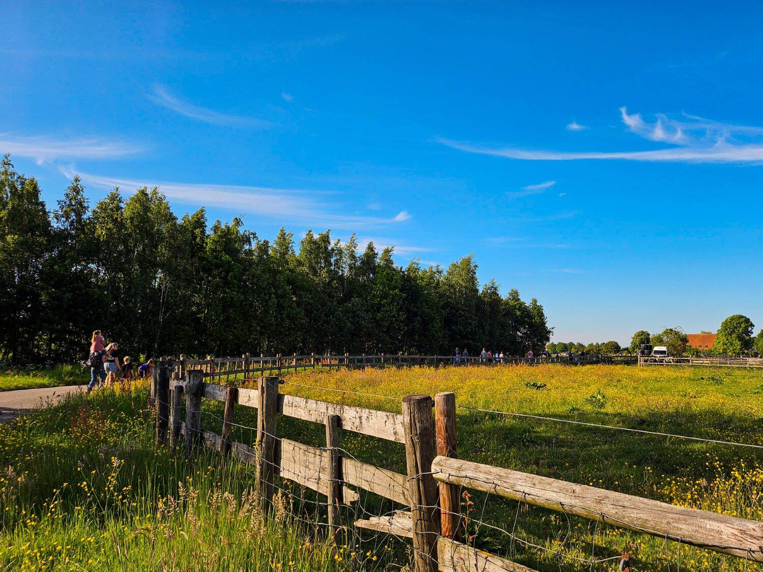 250520 SIntNyk Avondvierdaagse c SprekendCleo 4 1500