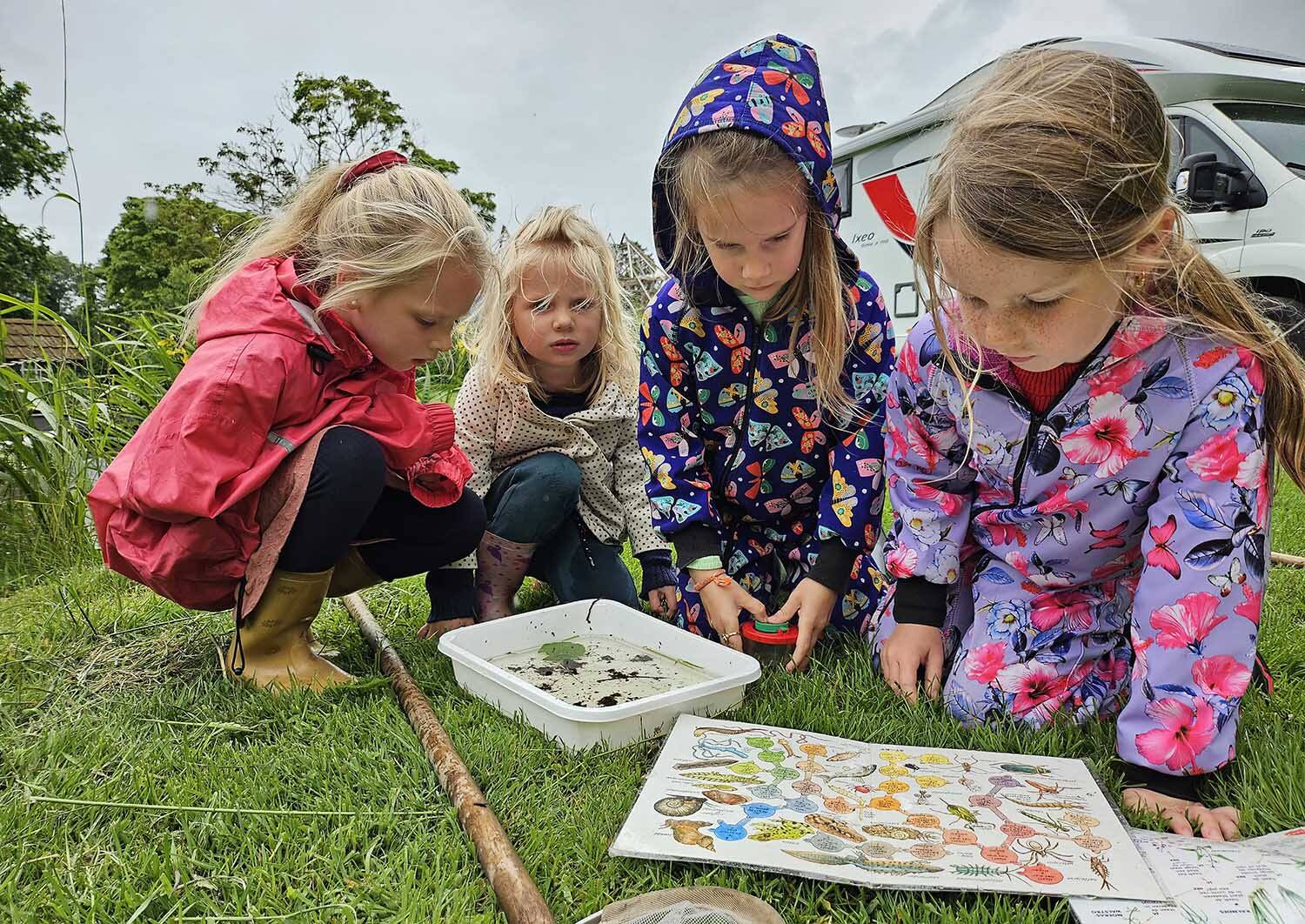 250607 Teroele Slootjesdag IVN 4