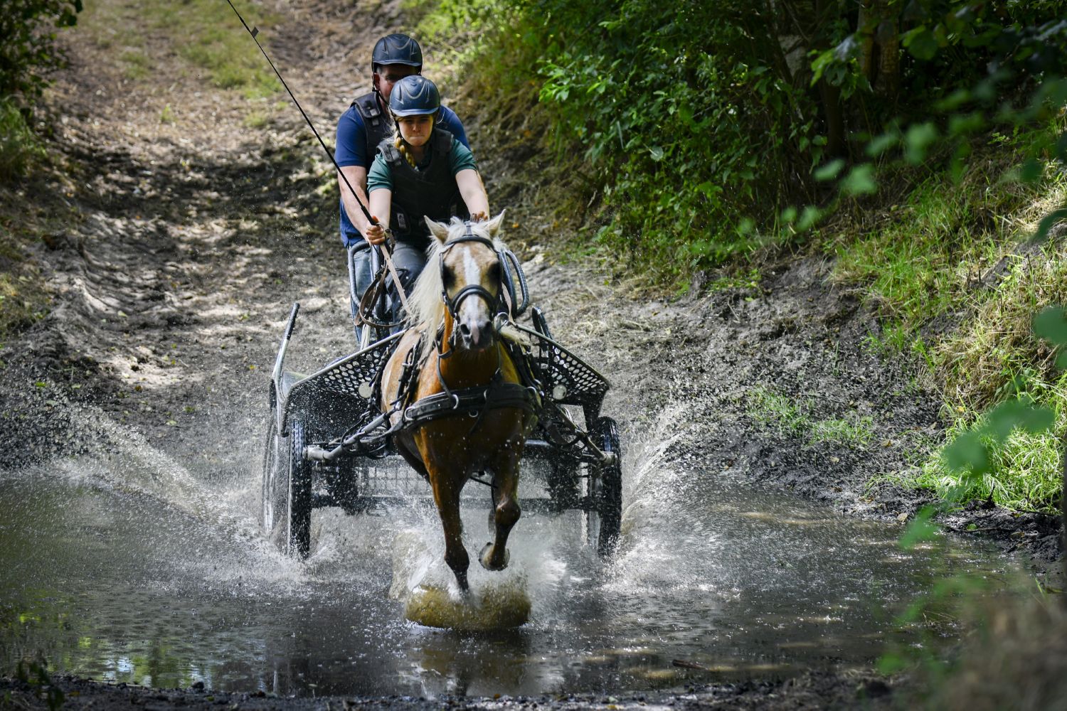 250712 SintNyk paardenmarathon 14 c Byldbrege MennoDijkstra 1500