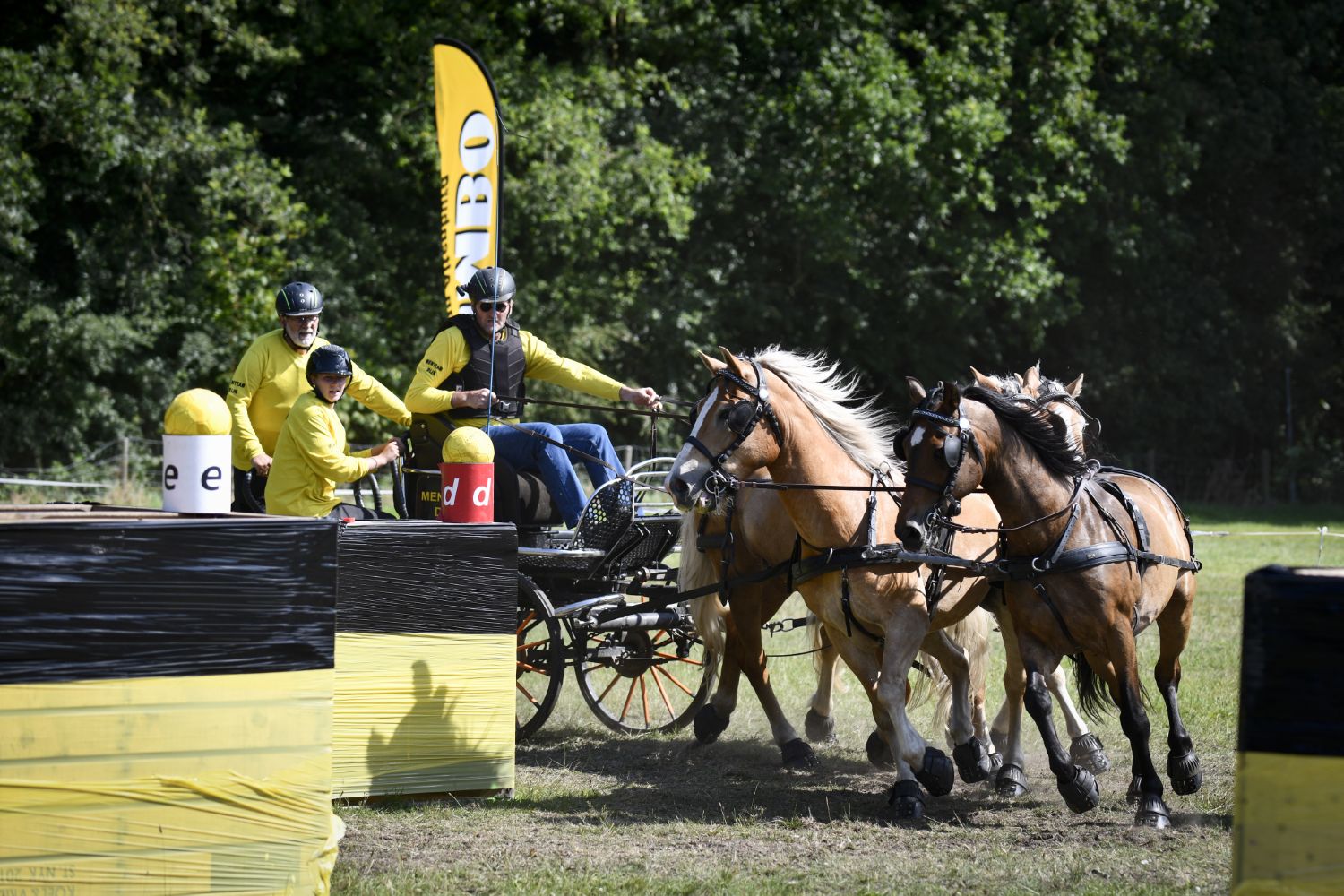 250712 SintNyk paardenmarathon 15 c Byldbrege MennoDijkstra 1500