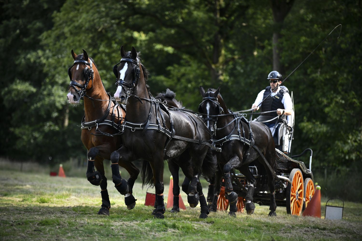 250712 SintNyk paardenmarathon 6 c Byldbrege MennoDijkstra 1500