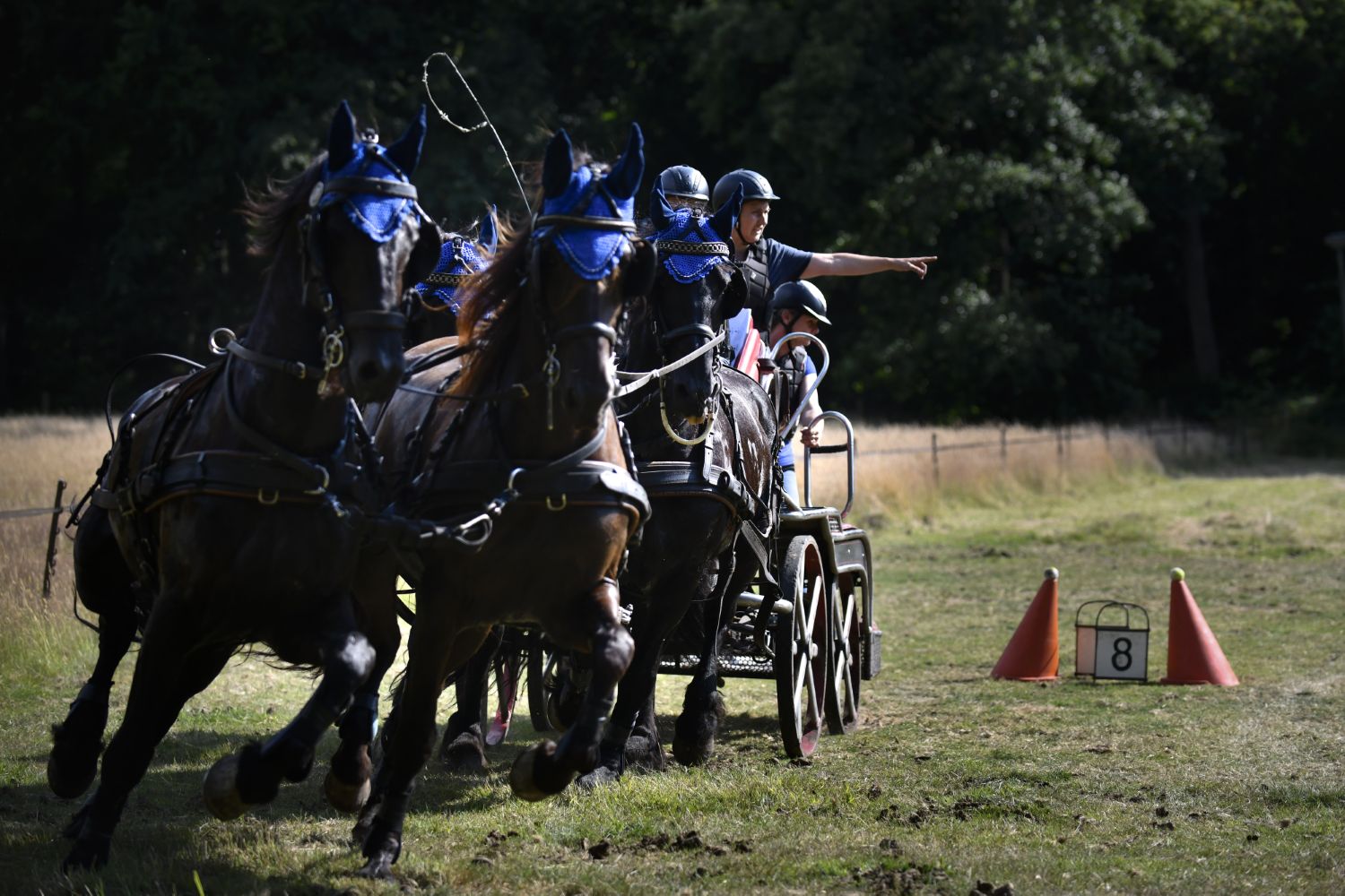 250712 SintNyk paardenmarathon 7 c Byldbrege MennoDijkstra 1500