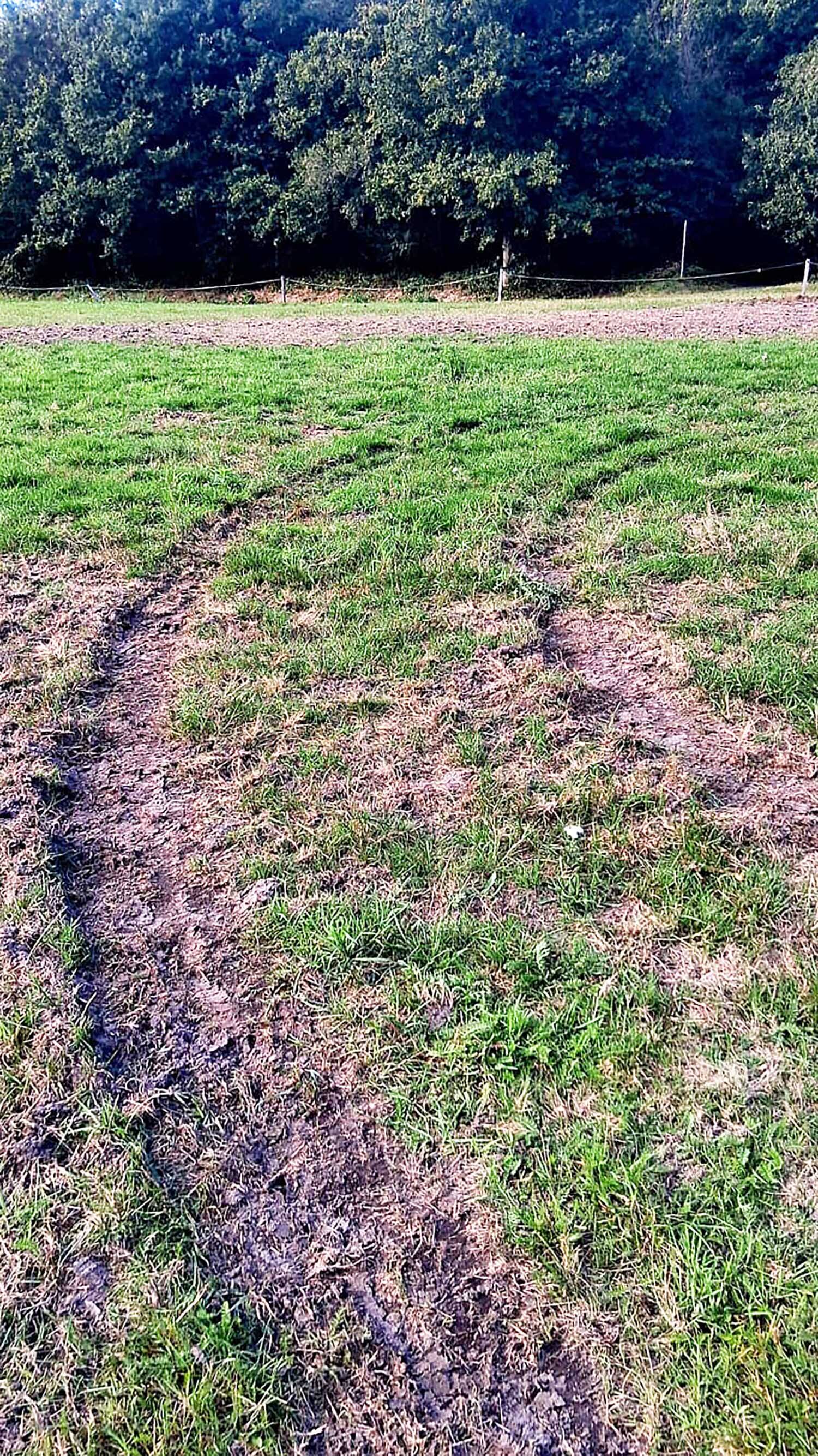 250925 SIntNyk ManegeDeOorsprong autovernieldterrein3