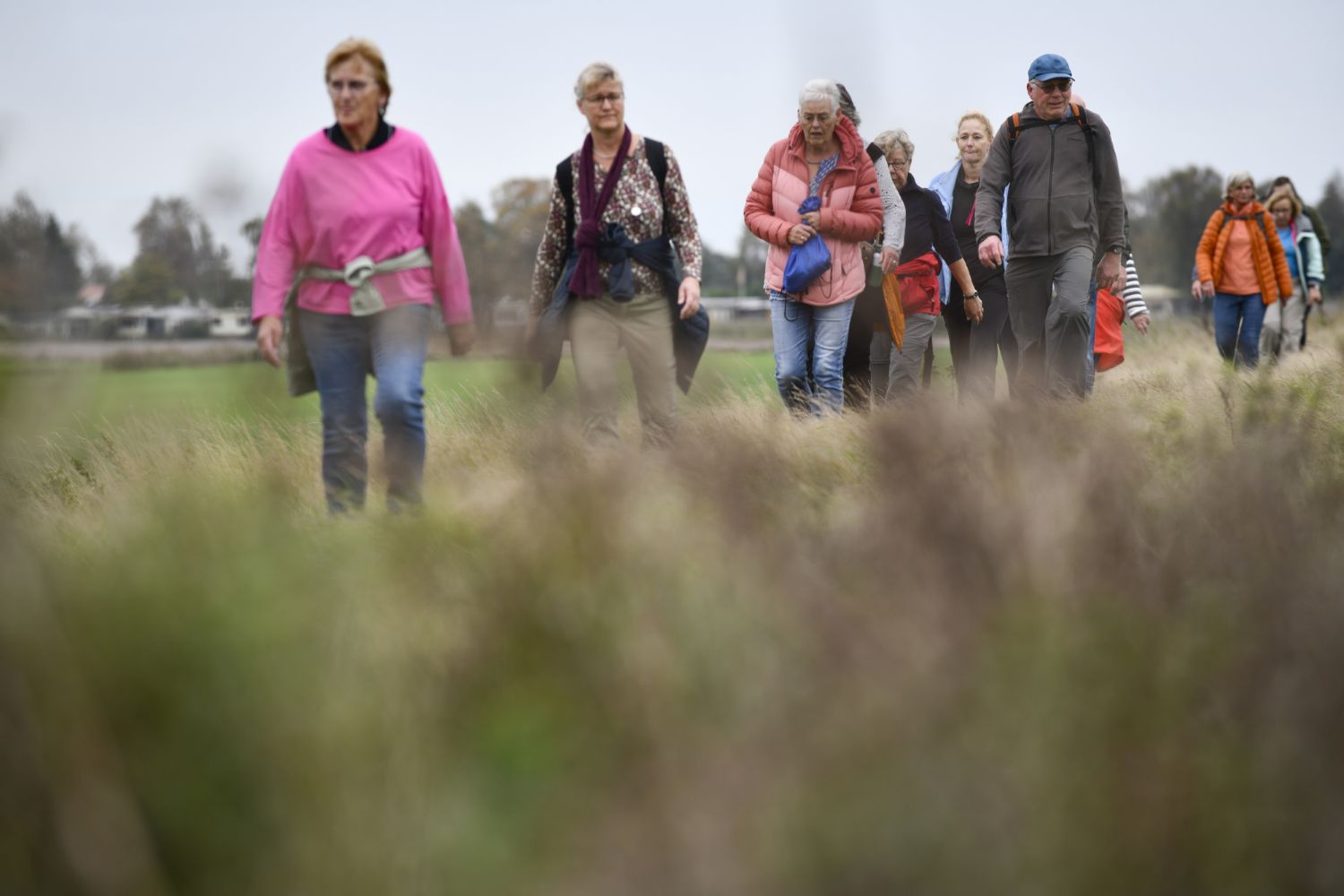 251011 Ouwsterhaule Excelsior wandeltocht 10 cByldbrege MennoDijkstra 1500