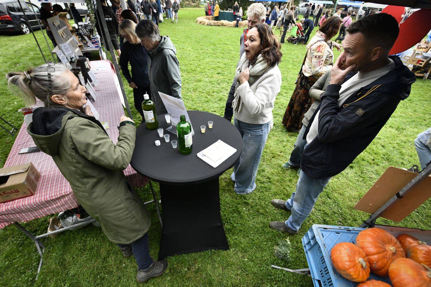 251011 Ouwsternijegea FryslanFestival 14 cByldbrege MennoDijkstra 1500