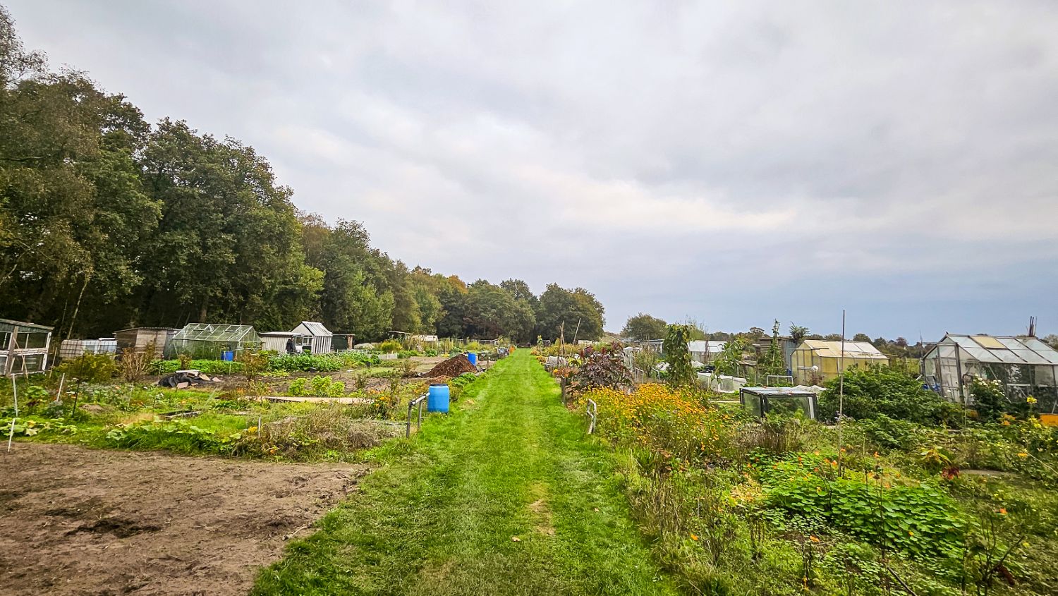 251011 SintNyk volkstuinen c SprekendCleo 1500