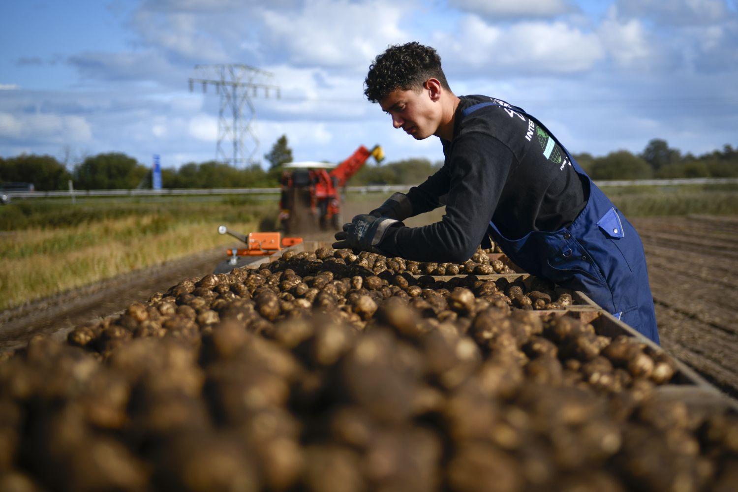 251020 SIntNyk oogst aardappelen 8 c Byldbrege MennoDijkstra 1500