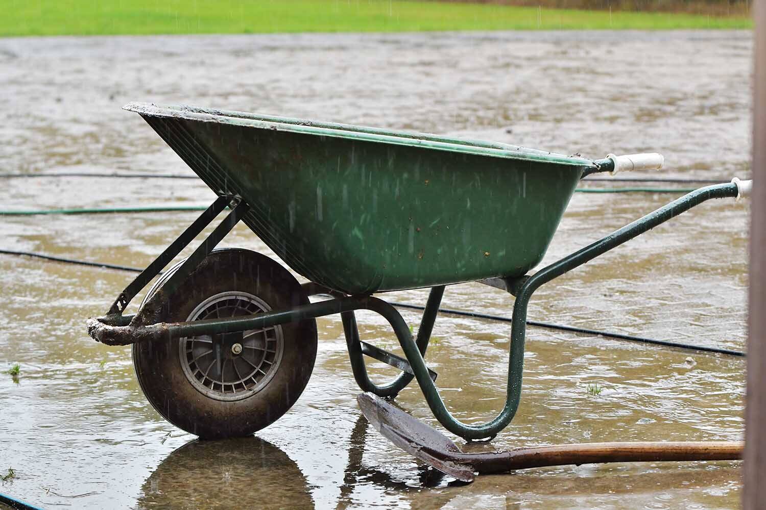 251031 SIntNyk Manege DoeDag 8 c AlieZijlstra