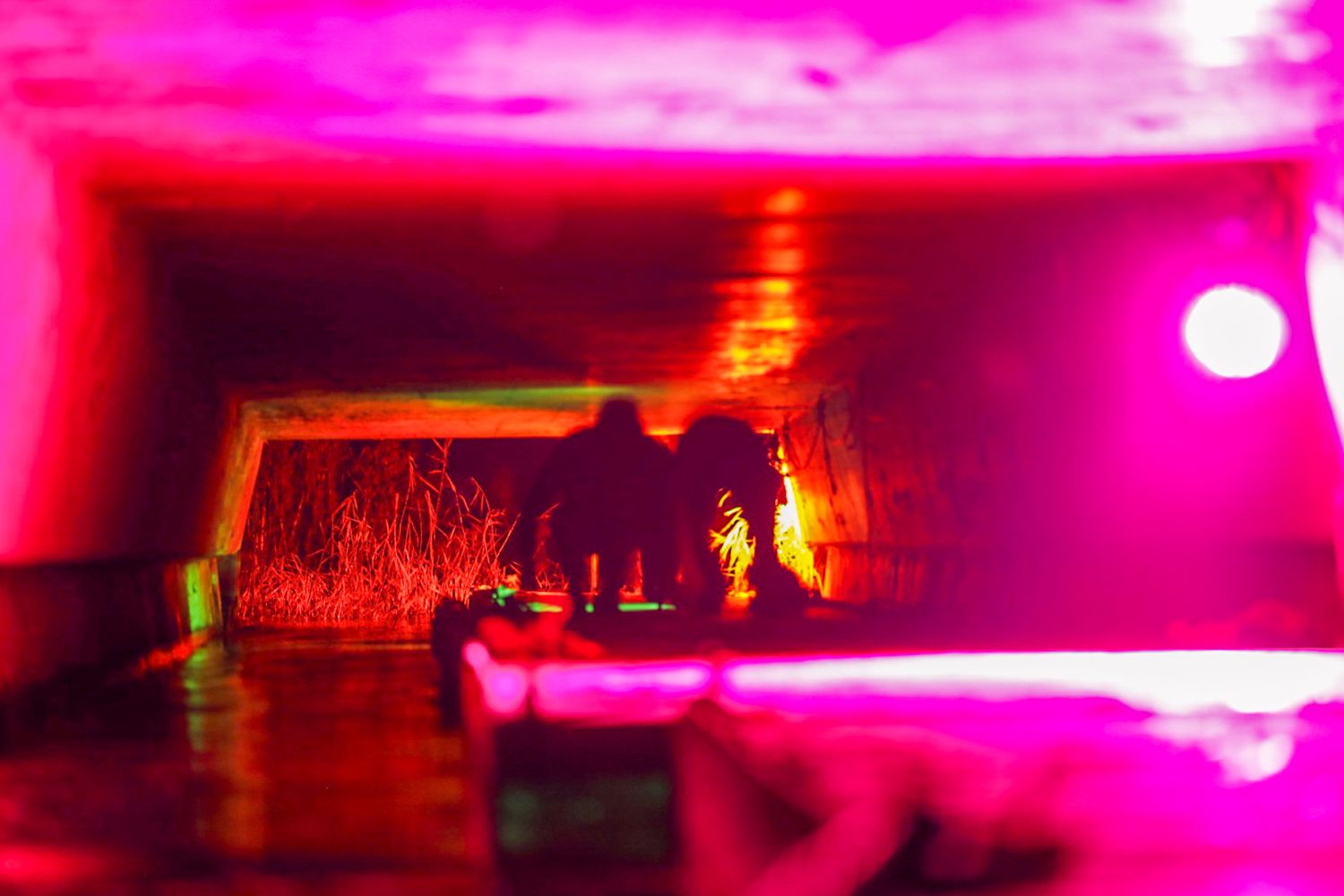 251121 SintNyk Brandweersurvival 19 c SprekendCleo 1500