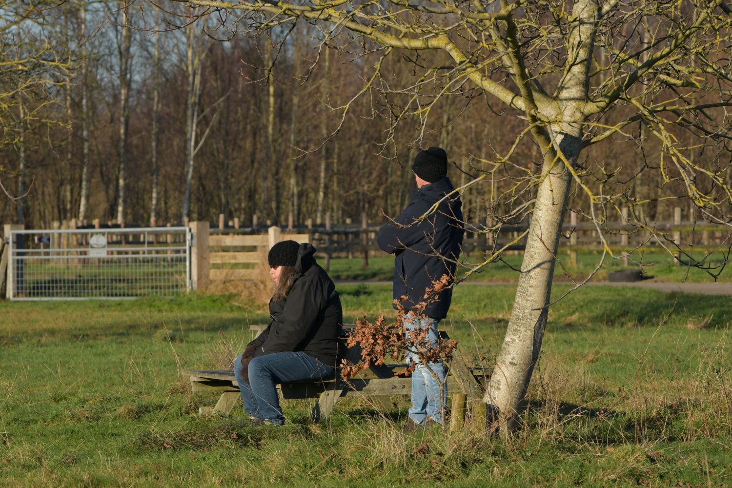 251226 SintNyk Krystkuier 8570 1500