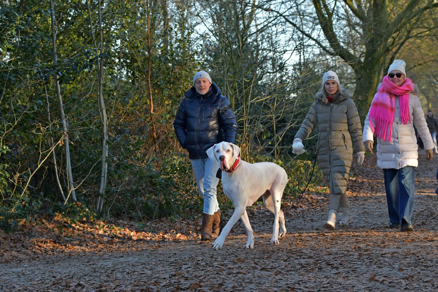 251226 SintNyk Krystkuier 8728 1500