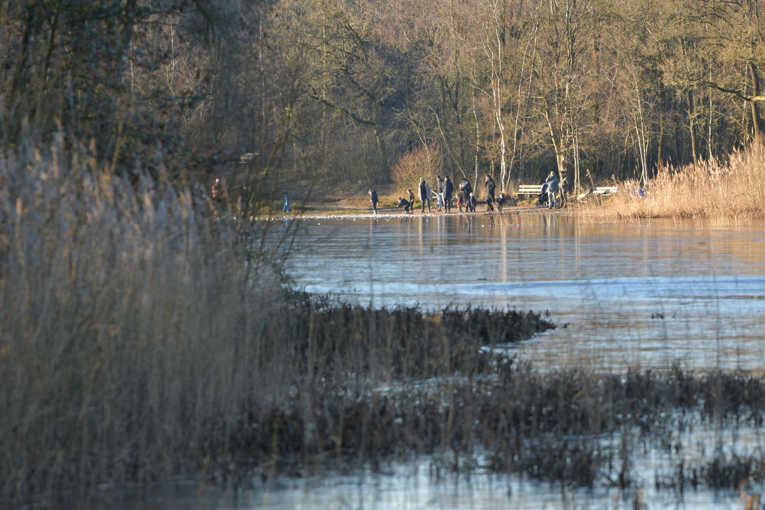 251226 SintNyk Krystkuier 8766 1500