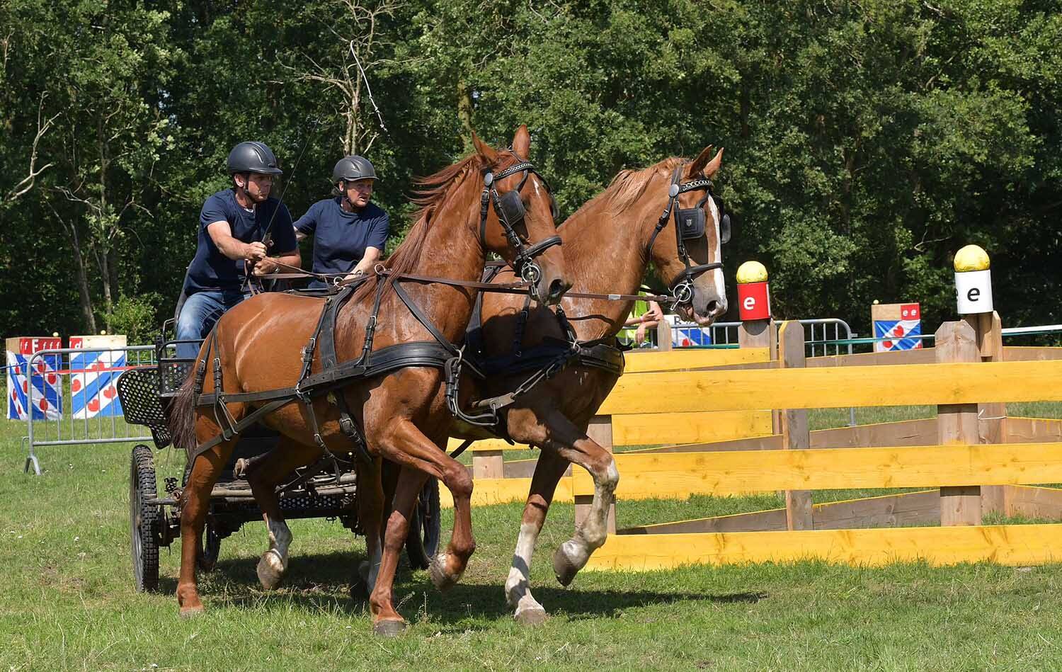 250709 SintNyk klaarvoor PaardenmarathonDeOorsprong3