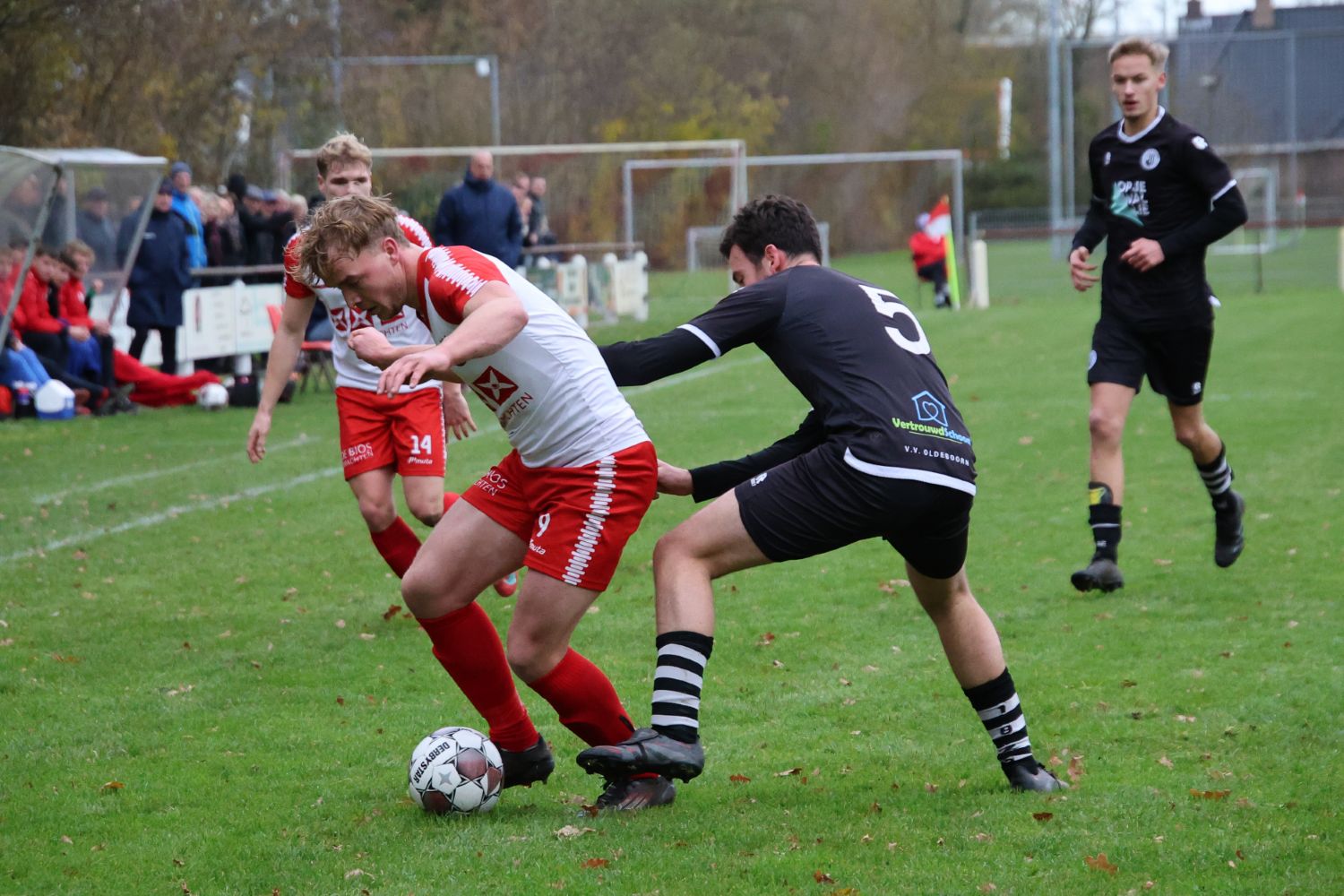 251130 Renado Olderboorn 6 c YvonneAnnema 1500