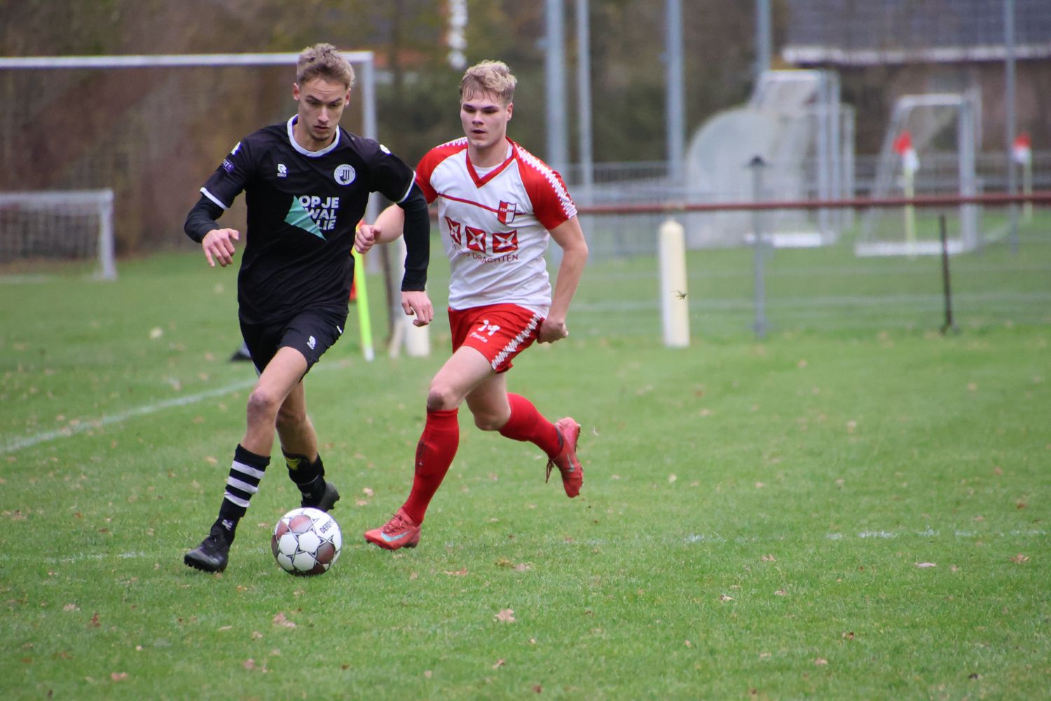 251130 Renado Olderboorn 7 c YvonneAnnema 1500