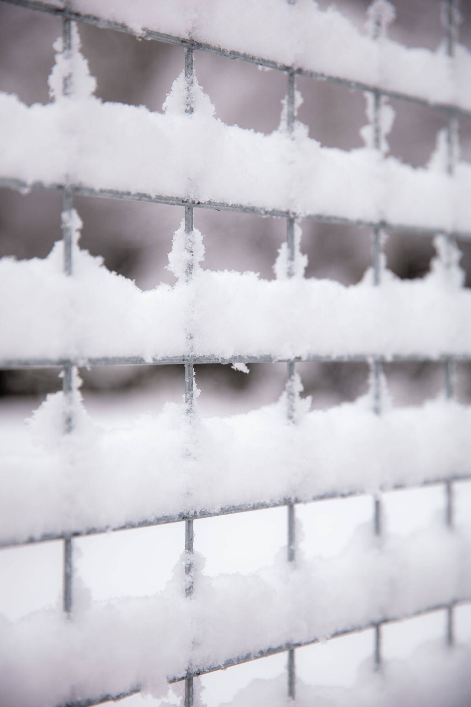 260106 Sint Nyk yn e snie 03 c FotofanFem c FotofanFem 1500