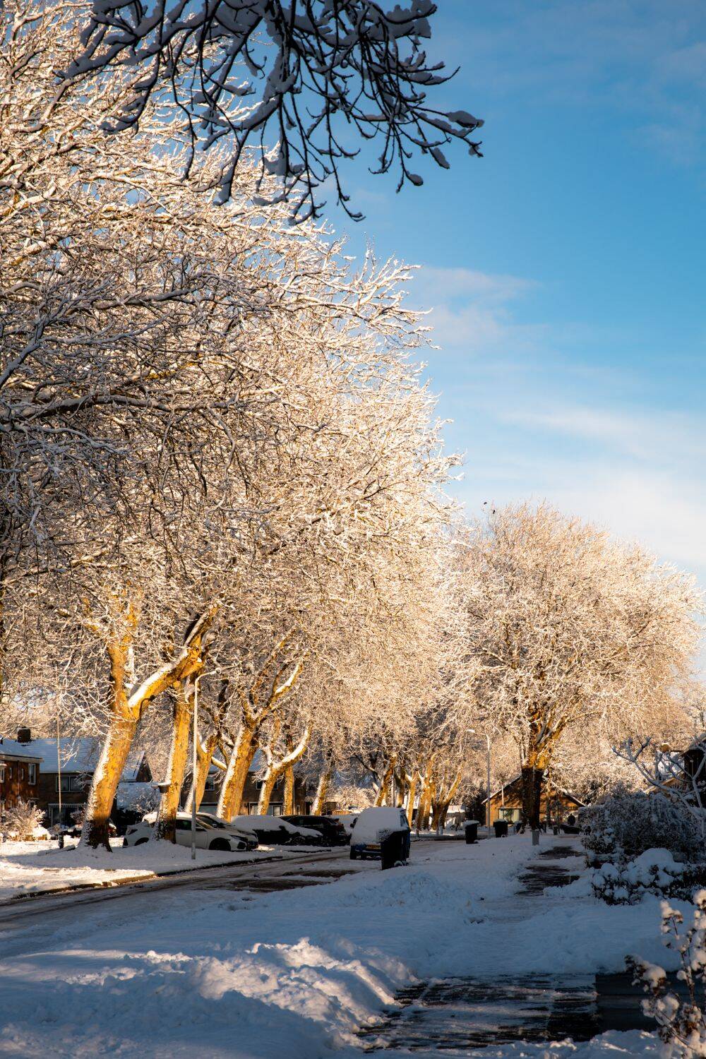 260106 Sint Nyk yn e snie 05 c FotofanFem c FotofanFem 1500