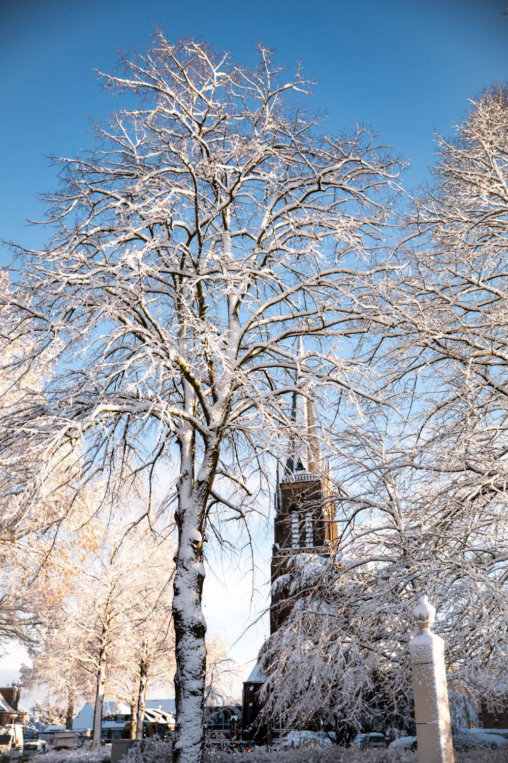 260106 Sint Nyk yn e snie 11 c FotofanFem c FotofanFem 1500