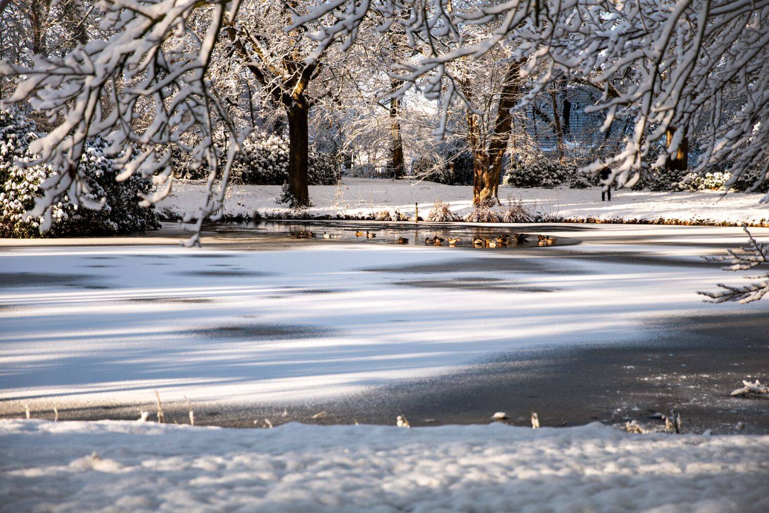 260106 Sint Nyk yn e snie 31 c FotofanFem c FotofanFem 1500