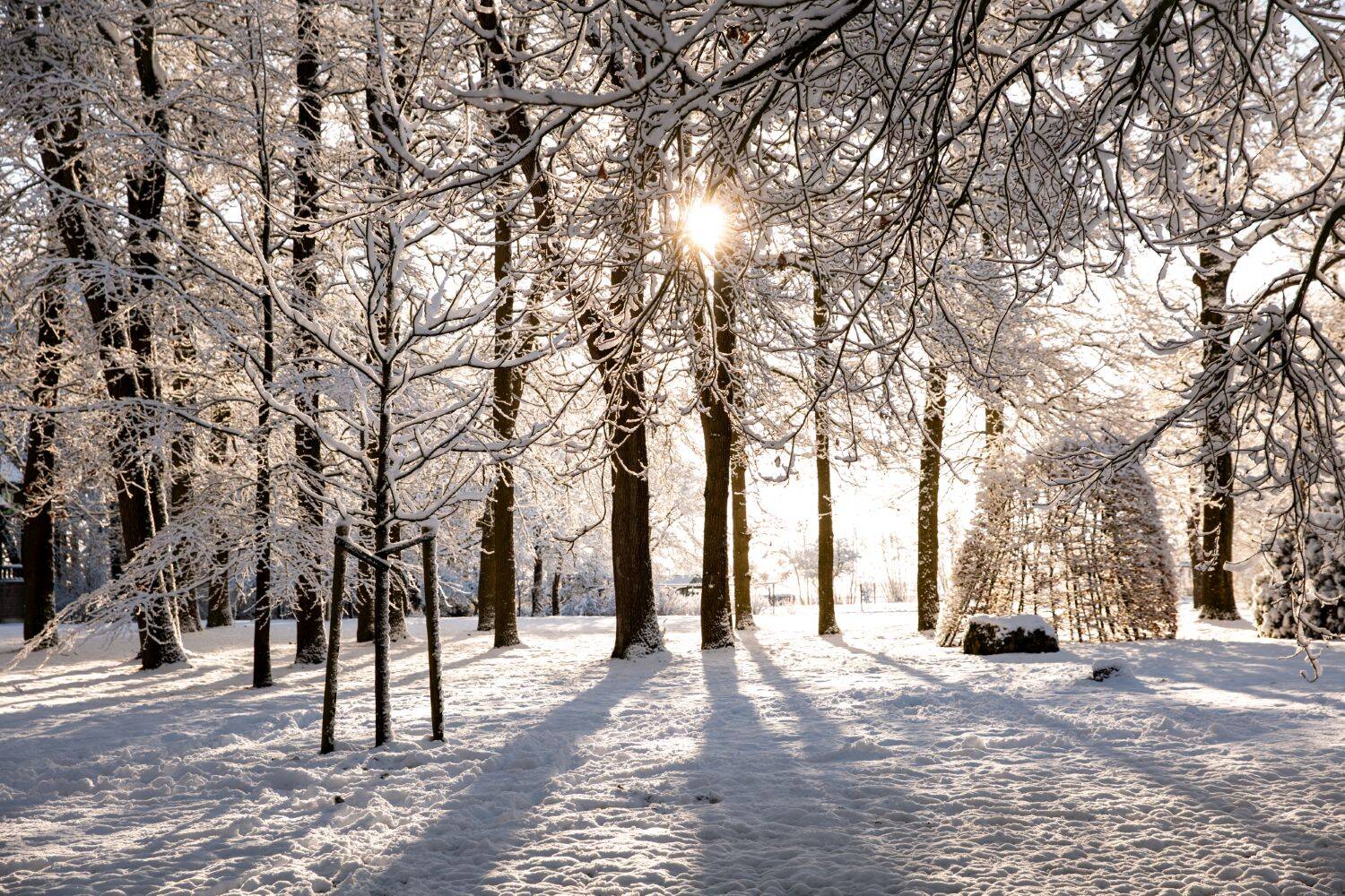 260106 Sint Nyk yn e snie 33 c FotofanFem c FotofanFem 1500