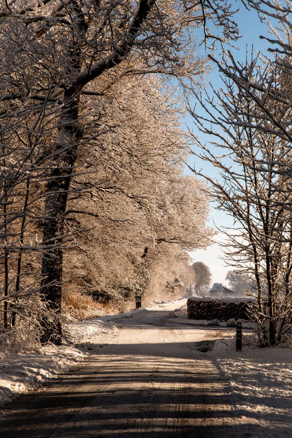 260106 Sint Nyk yn e snie 37 c FotofanFem c FotofanFem 1500