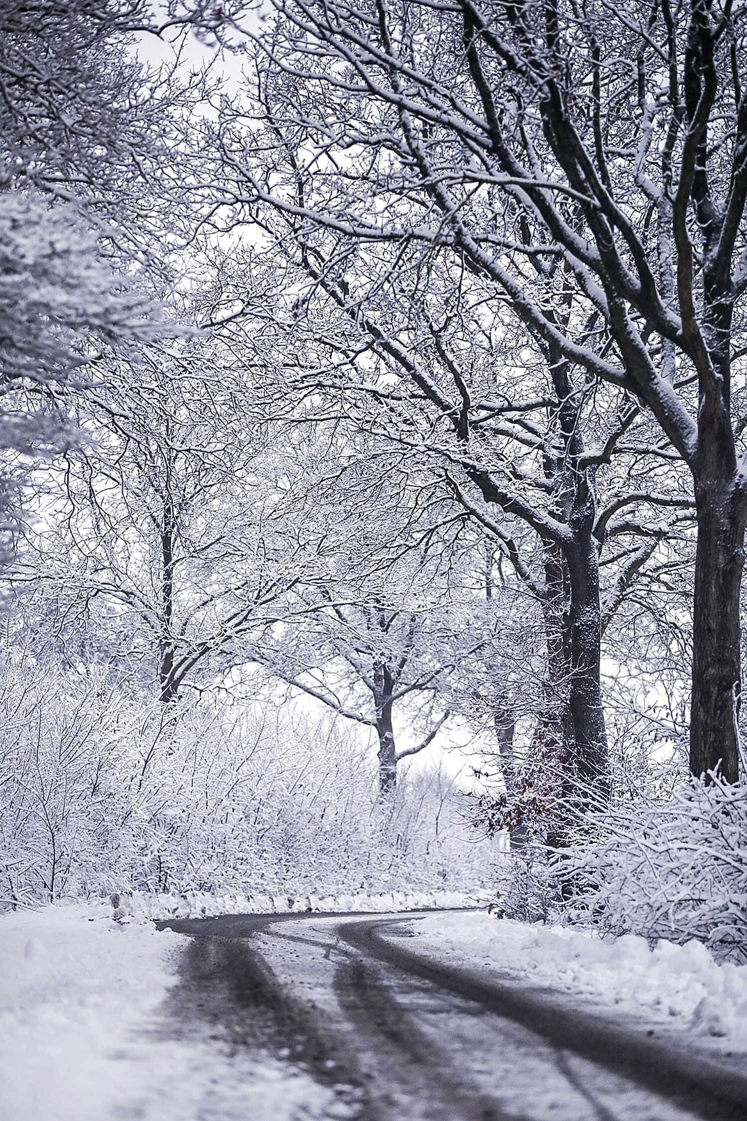 260106 SintNyk sneeuw 1 c SprekendCleo