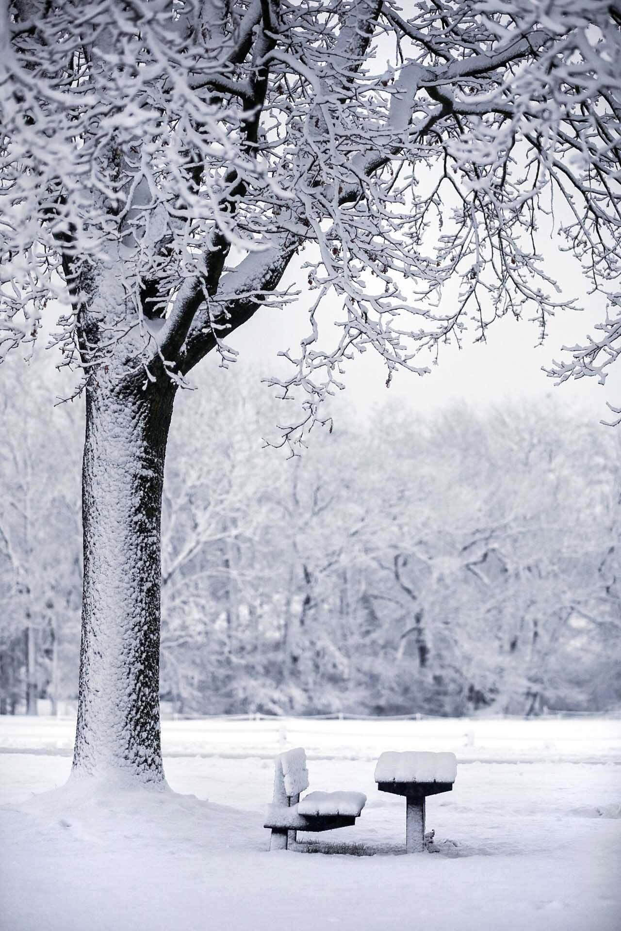 260106 SintNyk sneeuw 3 c SprekendCleo