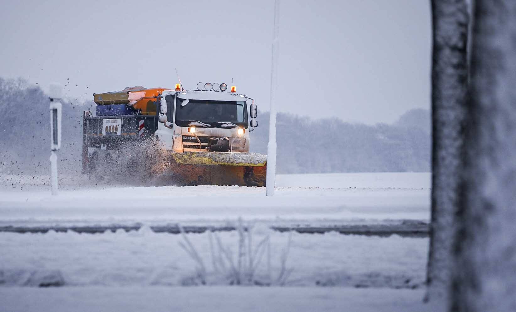 Na sneeuwchaos nu winterpracht in bossen rond Sint Nicolaasga