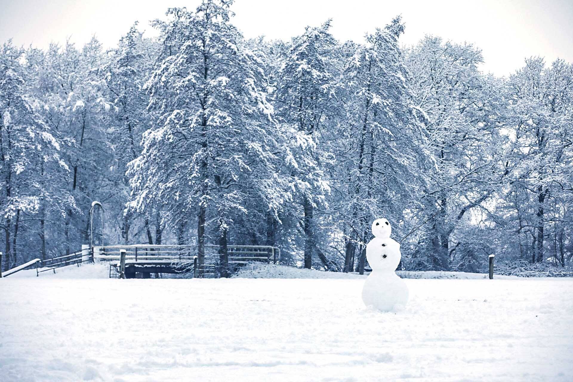 260106 SintNyk sneeuw 5 c SprekendCleo